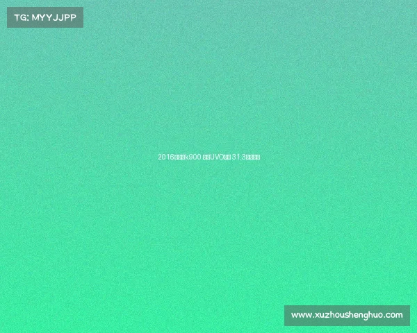 2016款起亚k900 配备UVO系统 31.3万元起售